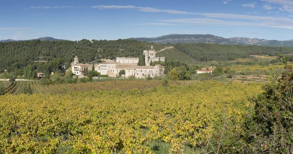 ¿Cómo puede el consumo de frutas y verduras de temporada beneficiar la salud?